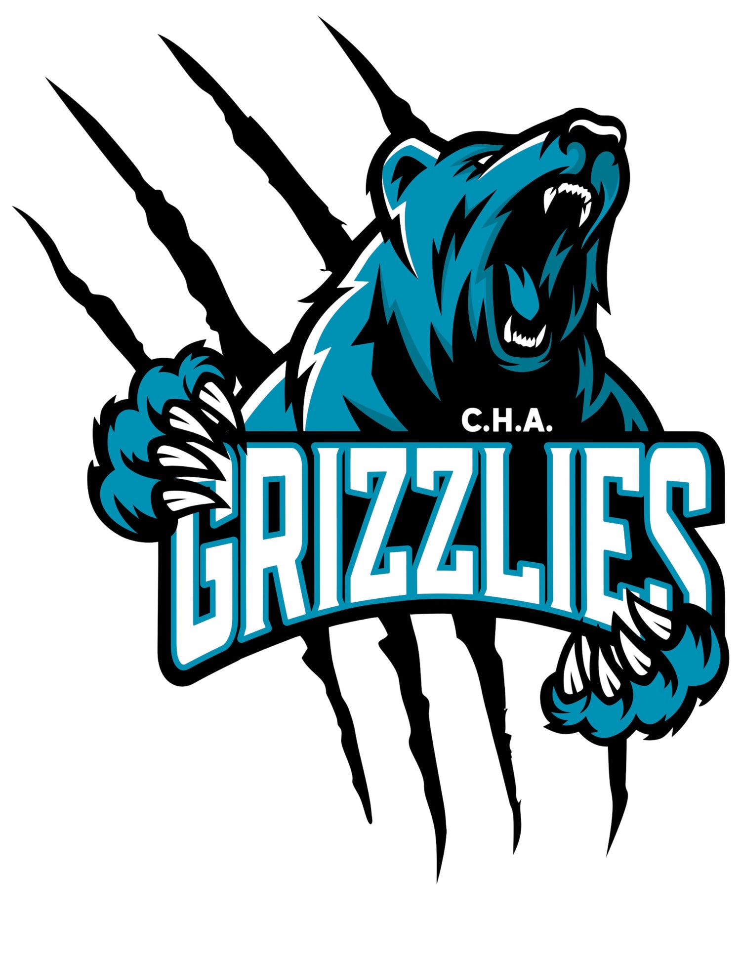 GRIZZLIES