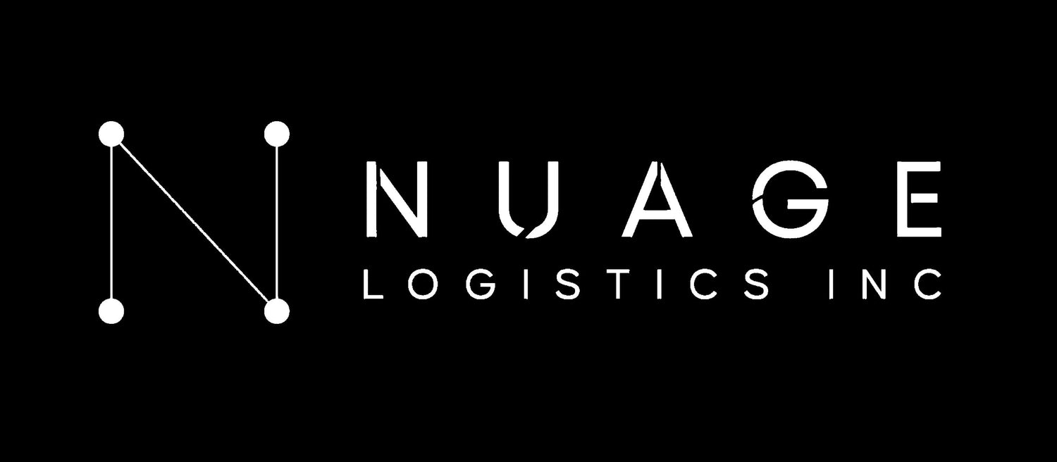 NUAGE LOGISTICS INC