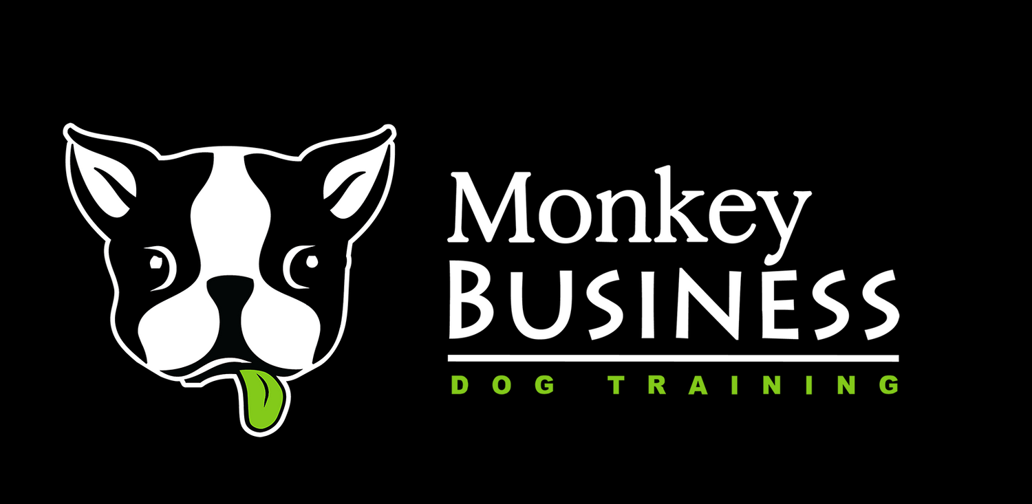 Monkey Business Dog Training