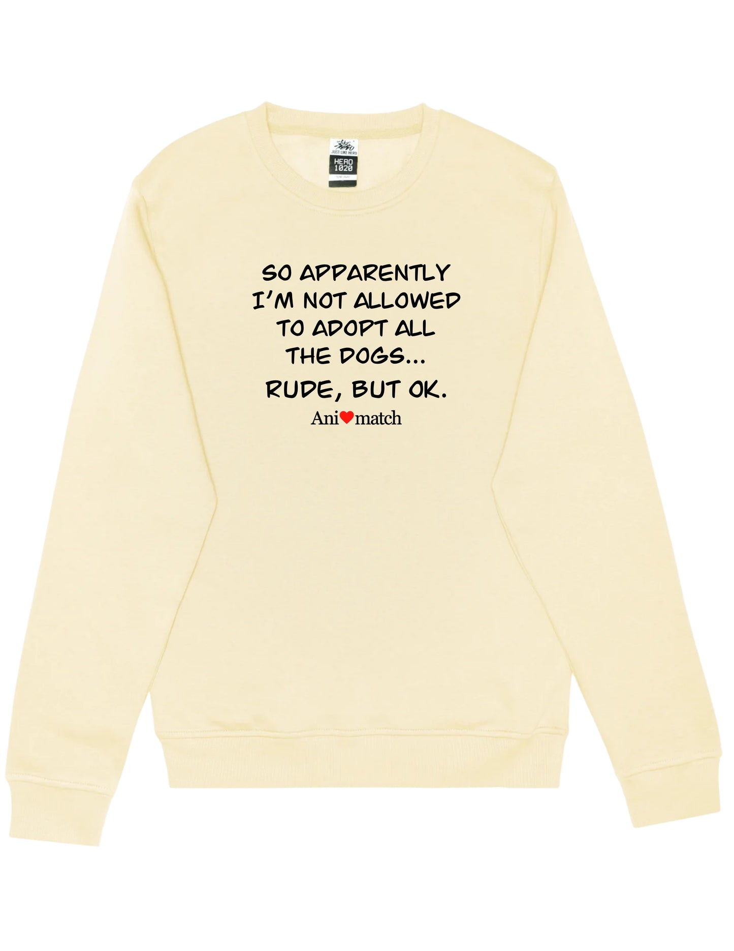 Pull ras du cou Animatch Rude