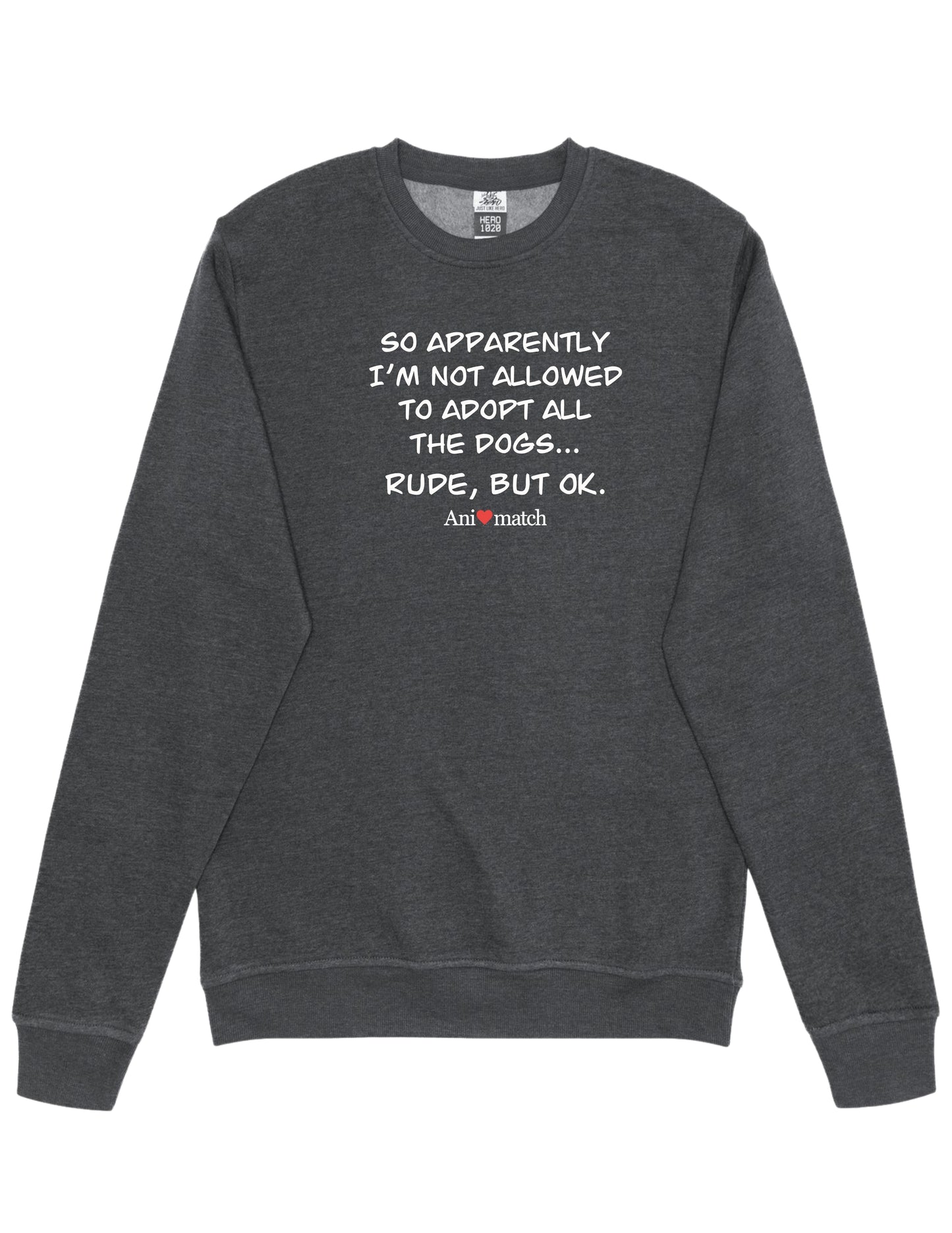 Pull ras du cou Animatch Rude
