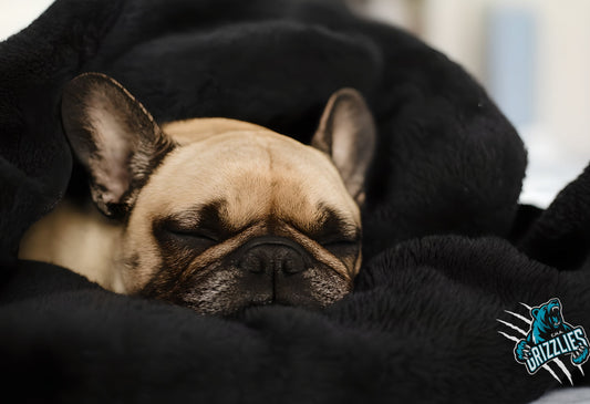 COUVERTURE DES GRIZZLIES