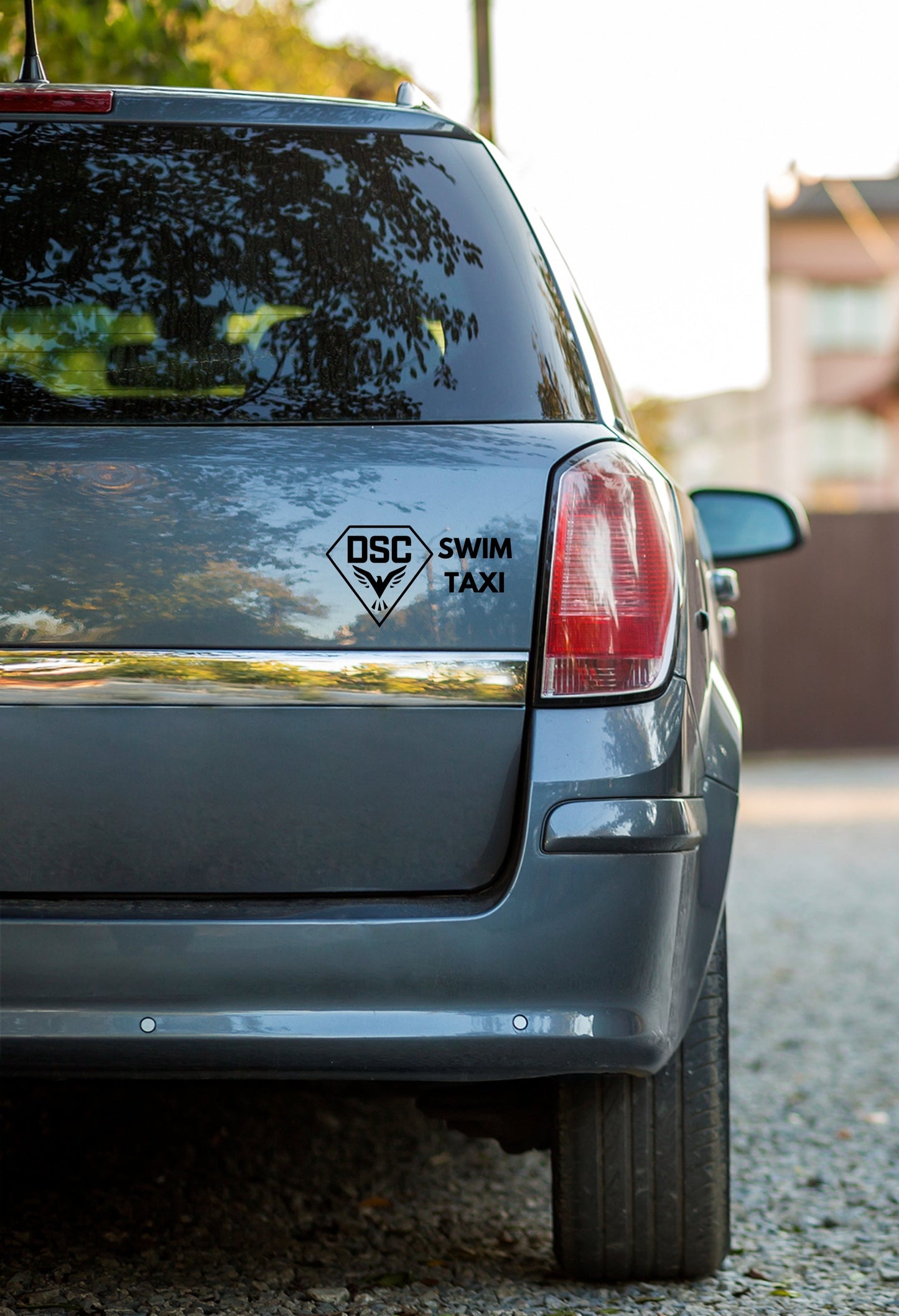 Autocollant de voiture DSC