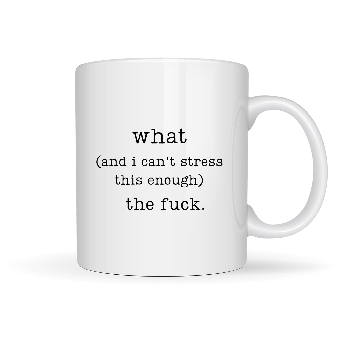 I CAN'T STRESS THIS ENOUGH 15oz MUG