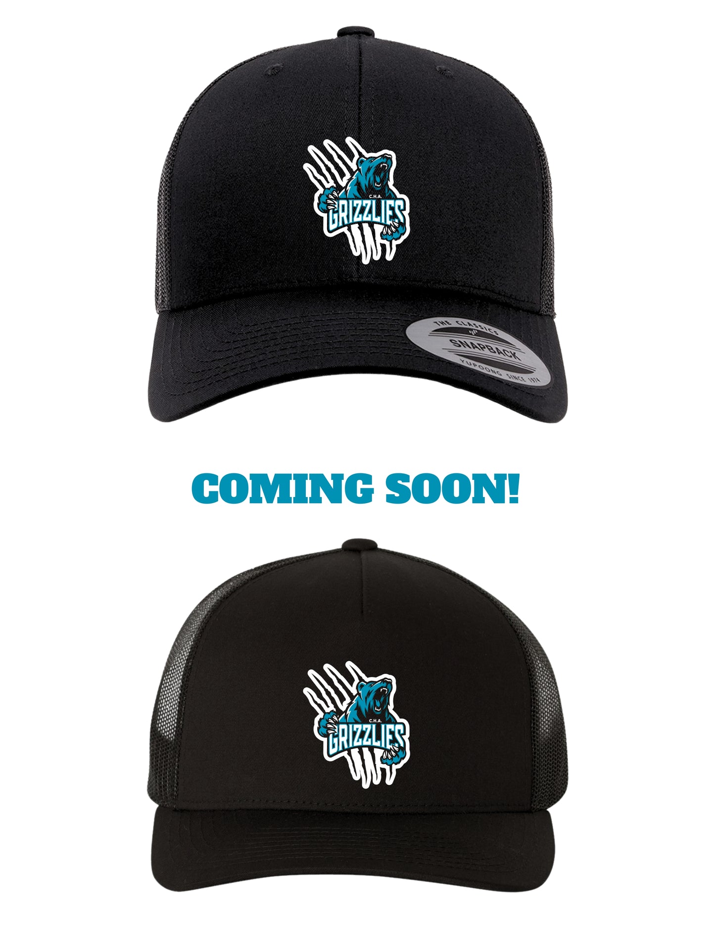 CASQUETTES GRIZZLIE