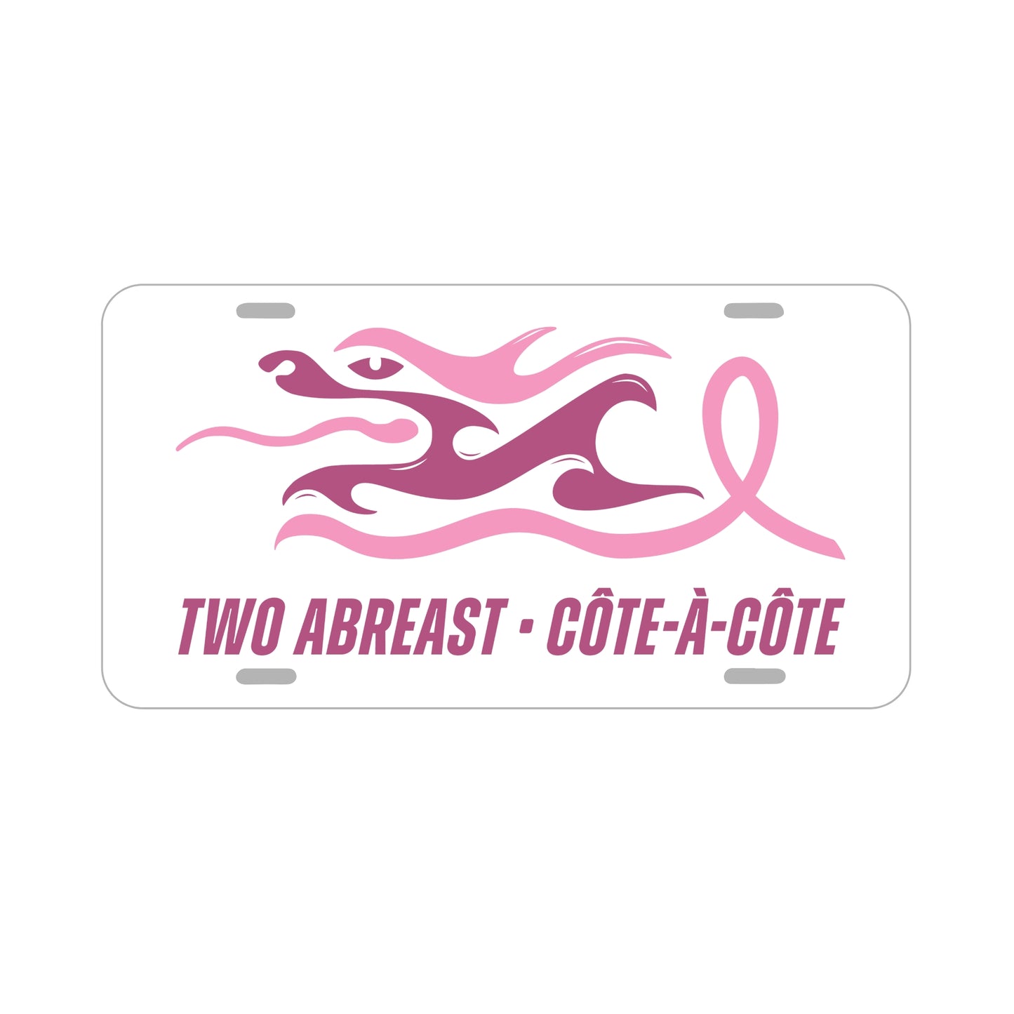 PLAQUE D'IMMATRICULATION