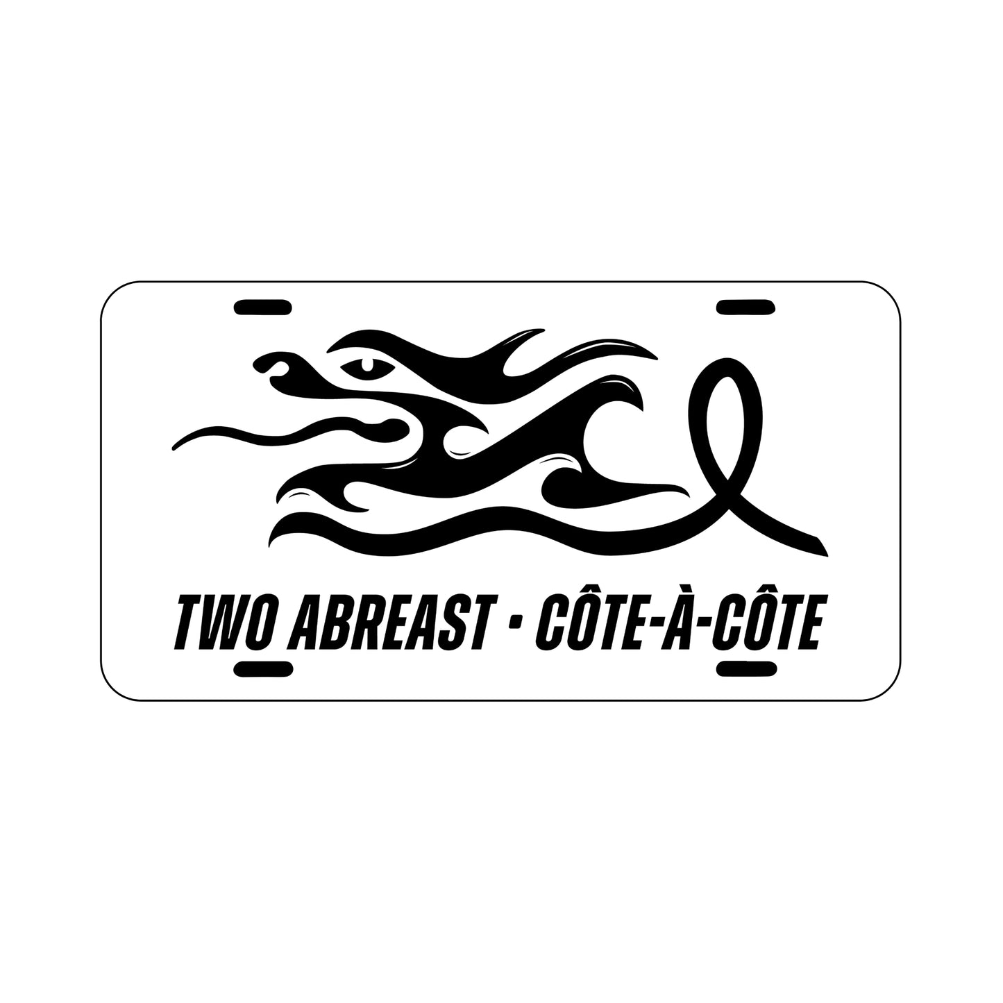 PLAQUE D'IMMATRICULATION