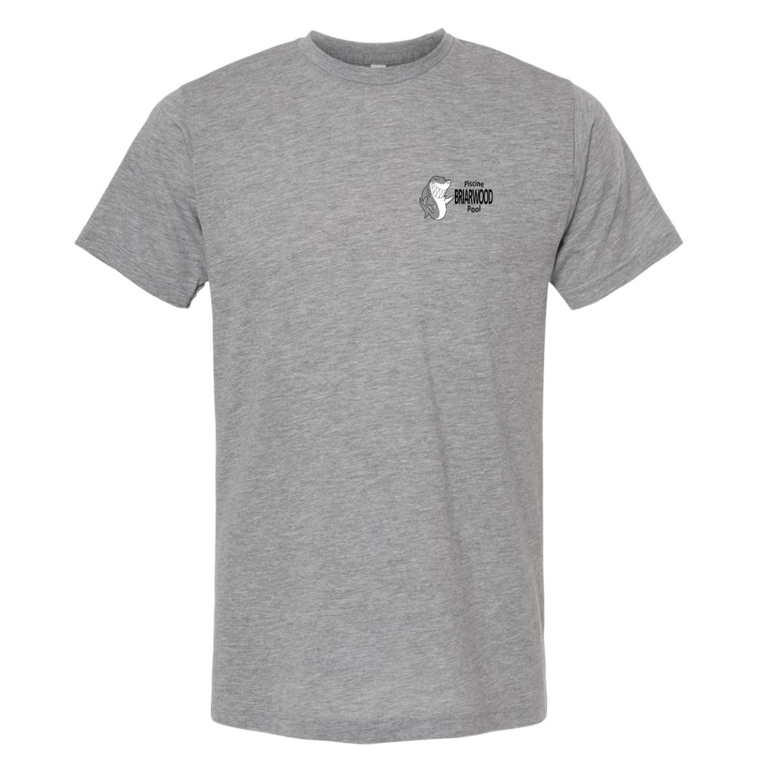 Briarwood- Triblend t-shirt- Day camp