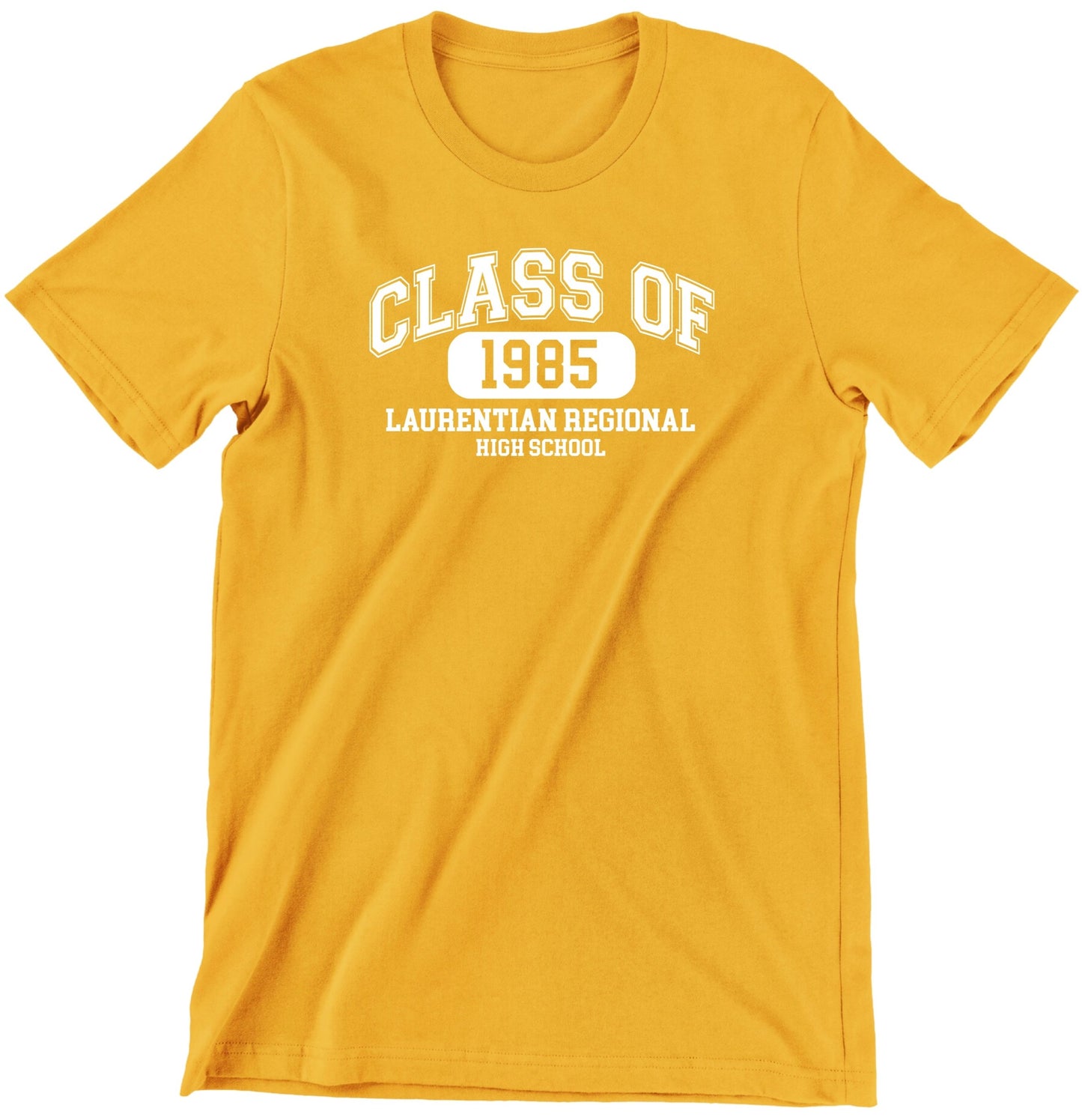 PROGRAMME DE 85 DU LRHS