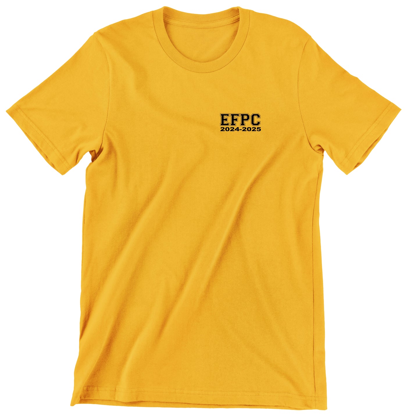 T-SHIRT EFPC - GROUPE PSI-19