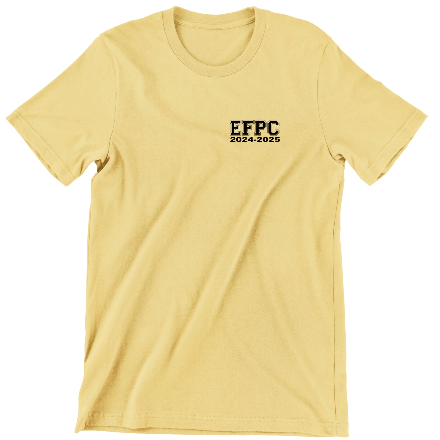 T-SHIRT EFPC - GROUPE PSI-19