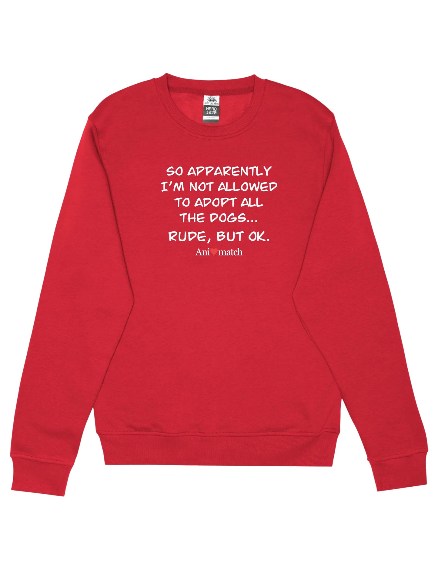 Pull ras du cou Animatch Rude