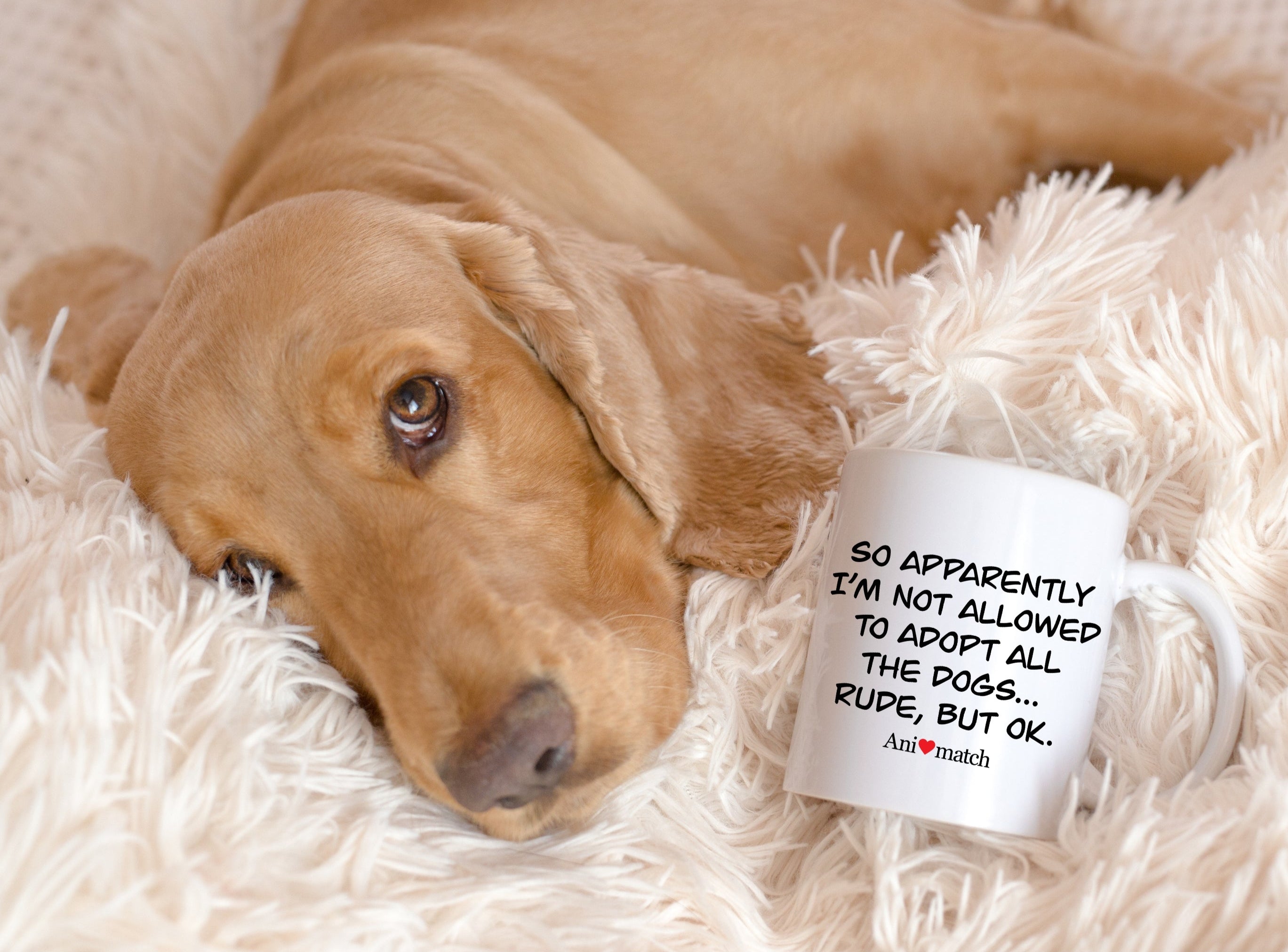 Animatch mug