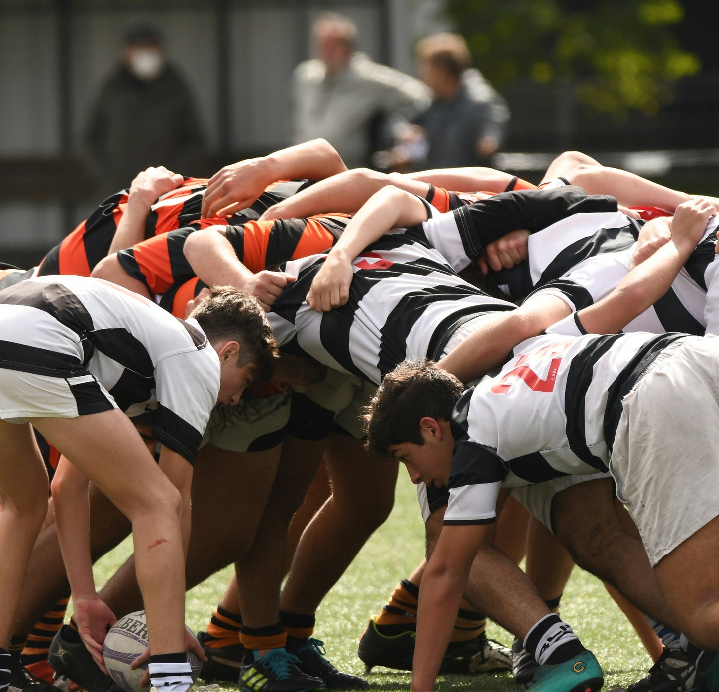 RUGBY CATALOGUES