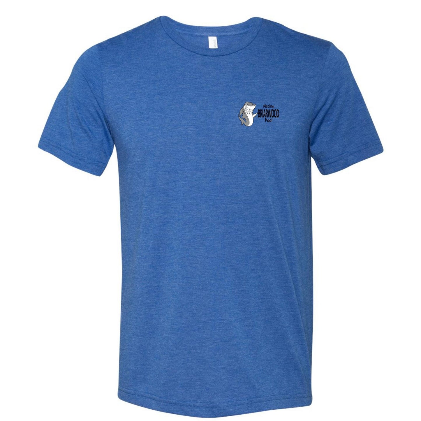 Briarwood- Triblend t-shirt- Day camp
