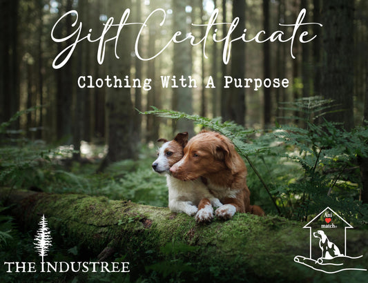 Animatch Gift Certificate